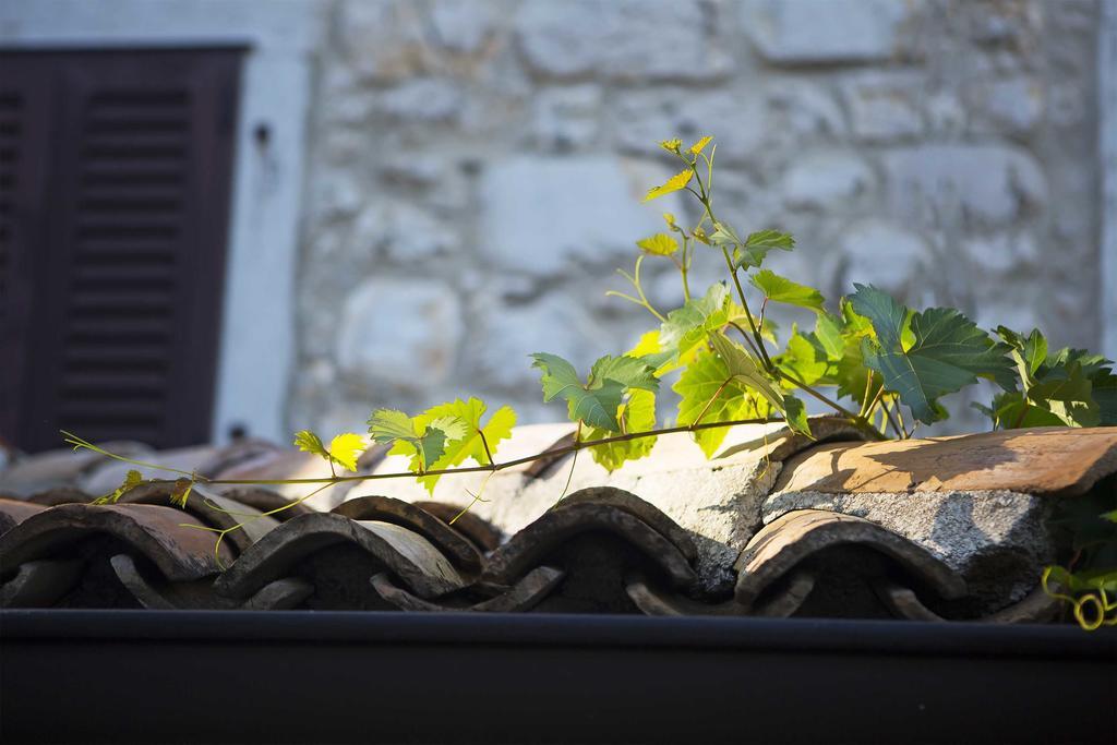 Boutique Hotel Paradiso Filipini Екстериор снимка